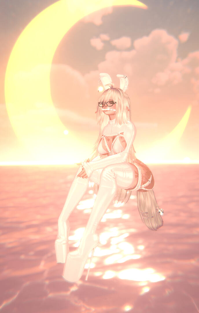 Bunny showcase