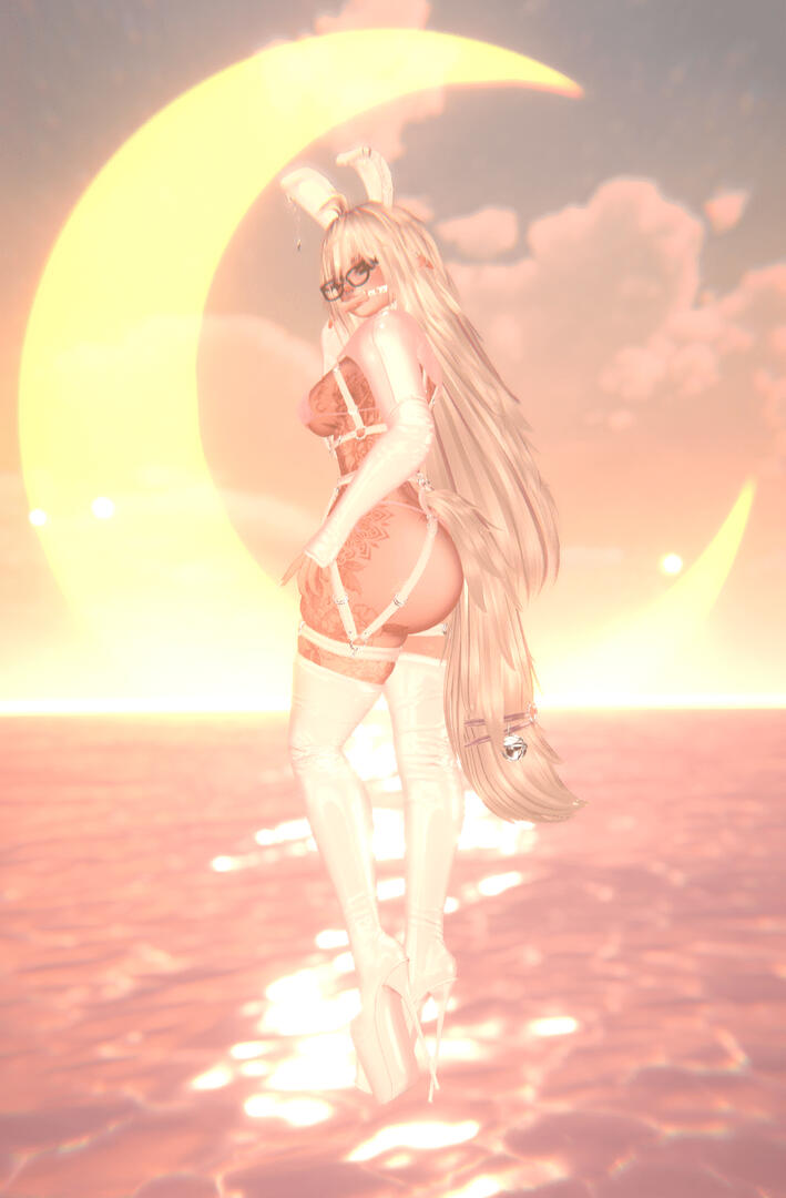 Bunny showcase