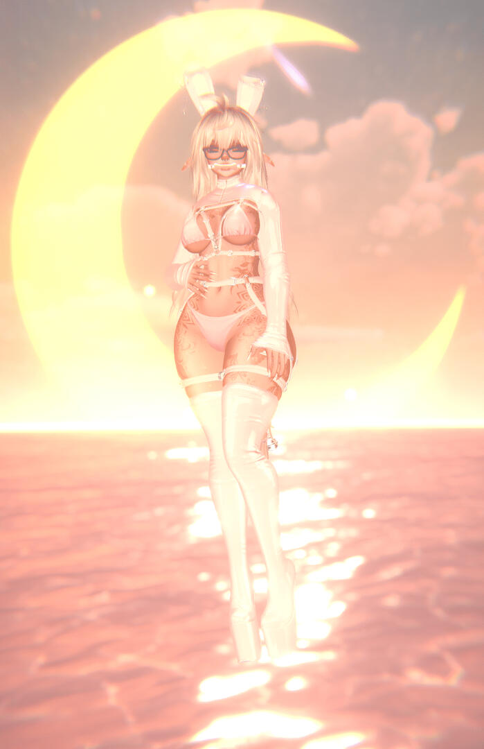 Bunny showcase